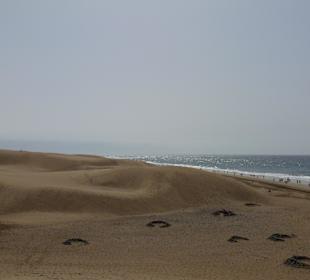 Dünen Maspalomas