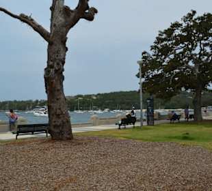 Balmoral Beach 