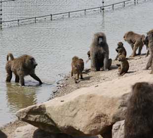 ZOOM Erlebniswelt Gelsenkirchen