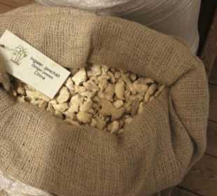 Spicy's Gewürzmuseum