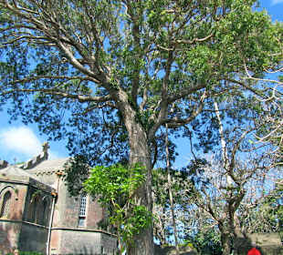 Friedhof von St Johns Church