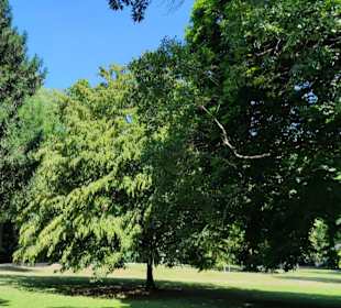 Stadtgarten