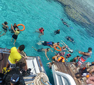 Schnorchelausflug Insel Tiran