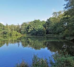 Impressionen vom Spaziergang am Drielaker See