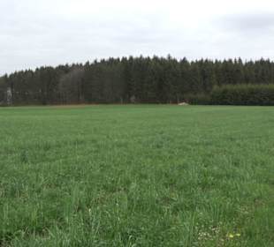 Wanderweg Kunst der kleinen Schritte