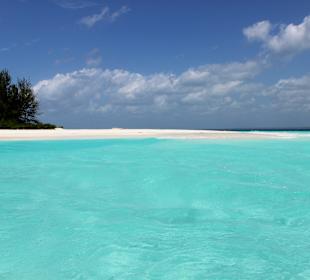 Mnemba Island 