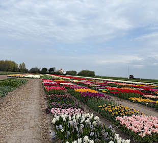 Floratuin Julianadorp