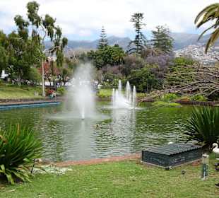 Am Teich des Parque de Santa Catarina
