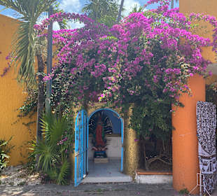 Stadtrundgang Akumal