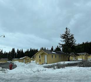 Yellowstone Nationalpark