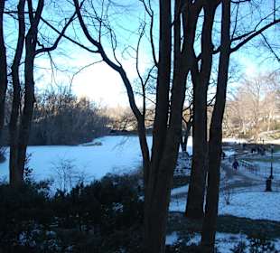 Central Park, New York