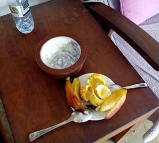 Lecker Curd mit Früchten ein Genuss!