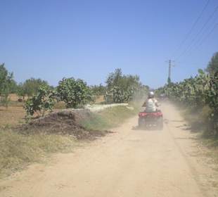 Quad fahren ins Landesinnere