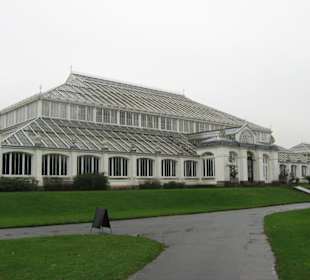 Temperate House