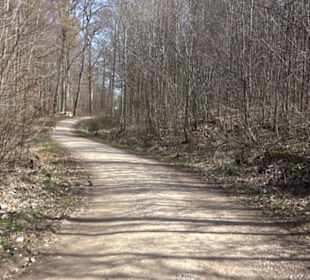 Premiumwanderweg "hochgeblickt"