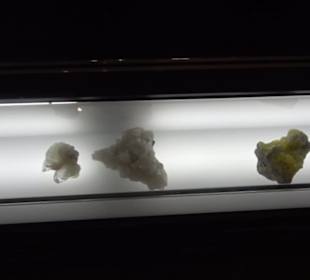 Museum für Naturkunde