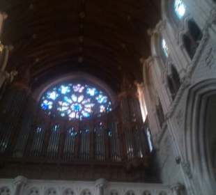 Orgel.