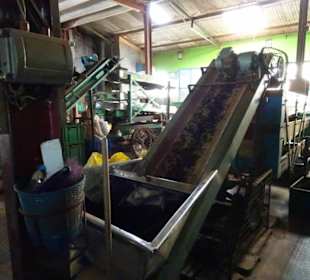 Hochland von Sri Lanka