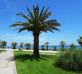 Spaziergang über die Strandpromenade Argelès-Plage