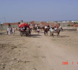 Kamelkaravane