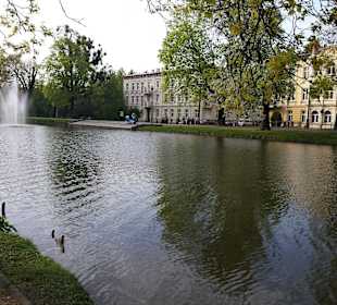 Stare Miasto