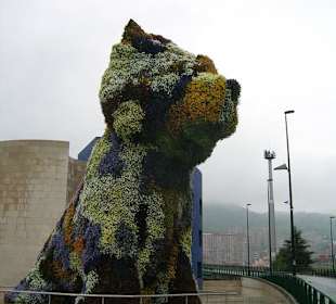 El perro de la entrada