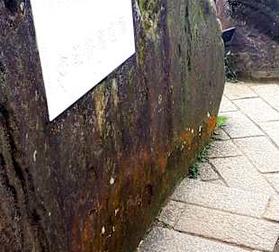 Elephant Mountain Xiangshan Hiking Trail