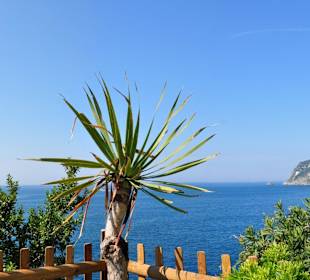 Ristorante Locanda del Fiordo Furore Amalfi