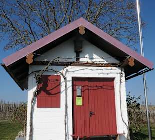 Wanderung in den Sommeracher Weinbergen