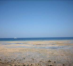 Das Rote Meer
