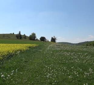 Premiumwanderweg Hochgehschätzt