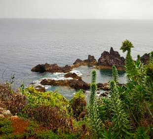 Wandern Funchal