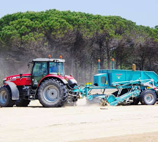 Tägliche Säuberung bis Leuchtturm