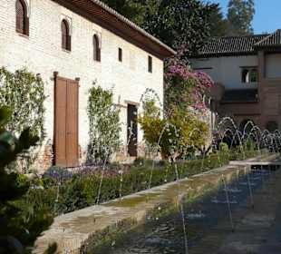 Dettaglio del giardino