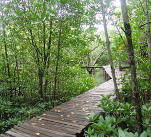 Man kann sich nicht verlaufen