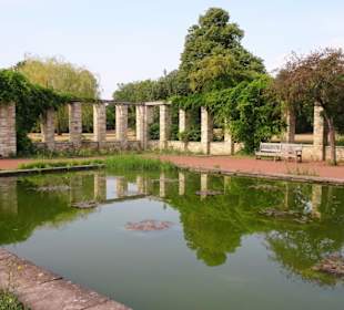 Der Wassergarten des Nordparks