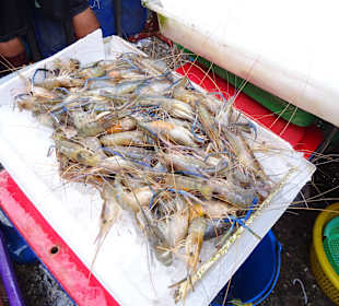 Auf dem Markt von Mahachai