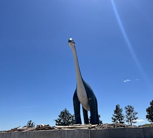 Dinosaur Park