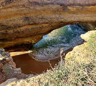 Seven Hanging Valleys Trail