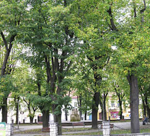 Park na namesti