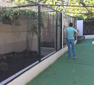 Guinitate Tropical Park