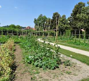 Im Küchengarten des Schlosses Veitshöchheim