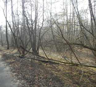 Wunderschöne Boberger Niederung