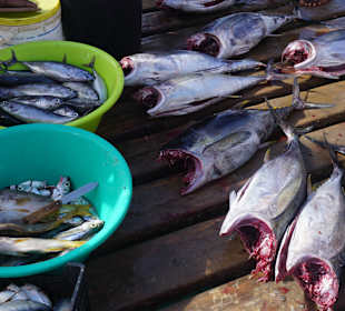 Stadtrundgang Santa Maria