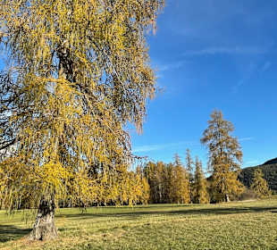 Wandern Mieming