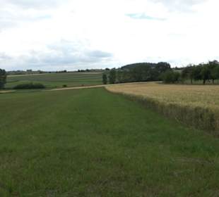 Schutzgebiet Spitzberg, Pfaffenberg