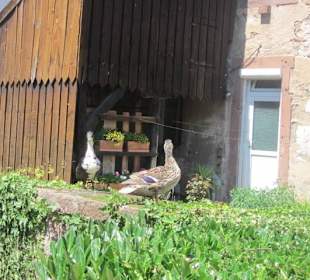 Niederbronn les Bains