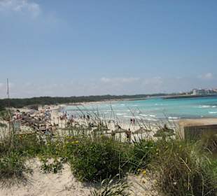 In den Dünen mit Blick auf denStrand