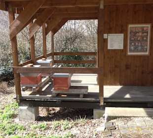 Bienenlehrpfad