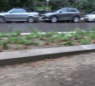 Artur-Kutscher-Platz